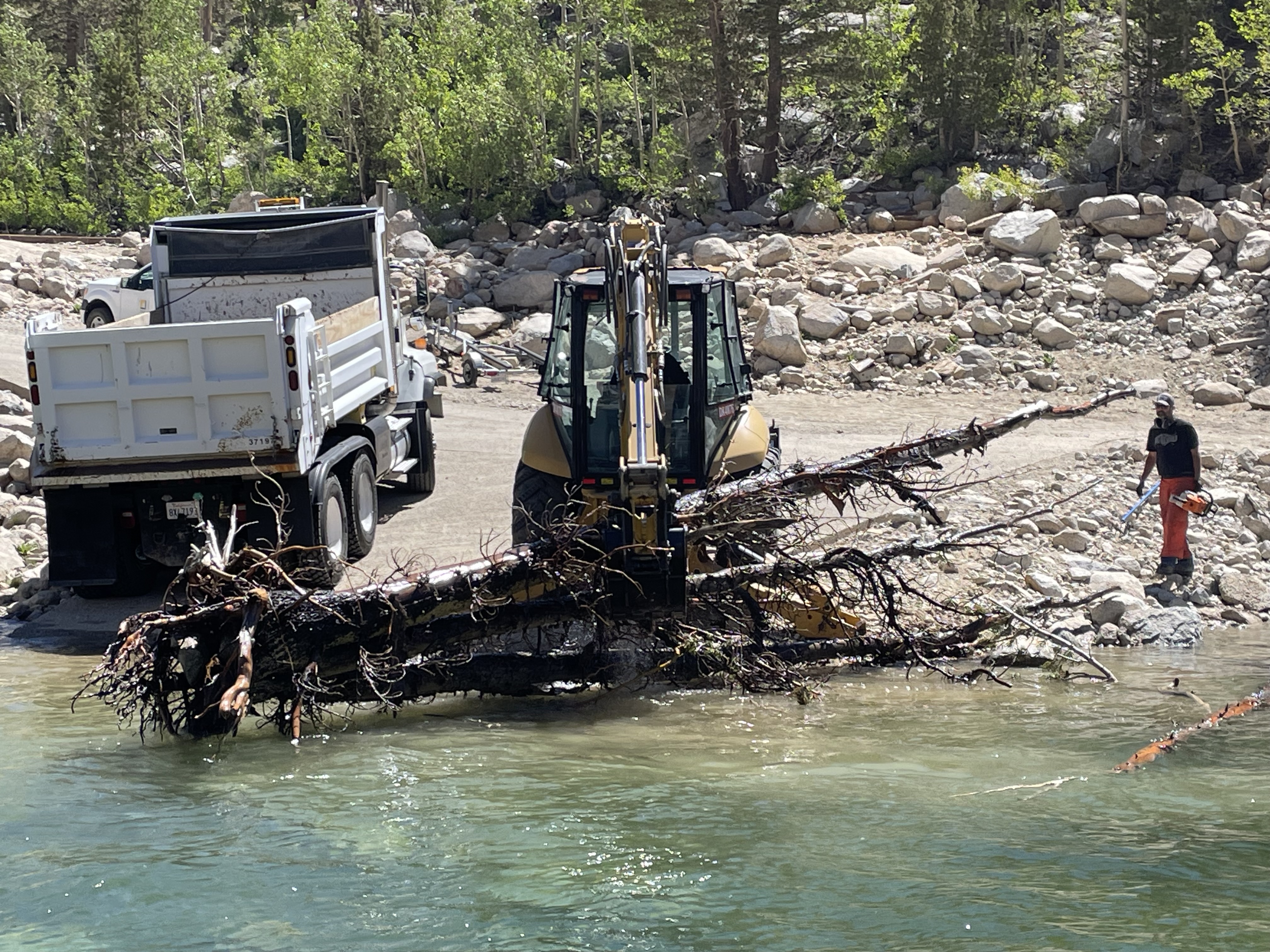 SCE's civil crews removing tree debris from Bishop Basin.