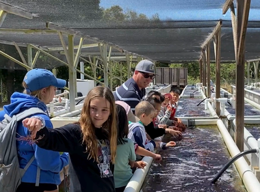 Making Outdoor Field Trips More Accessible