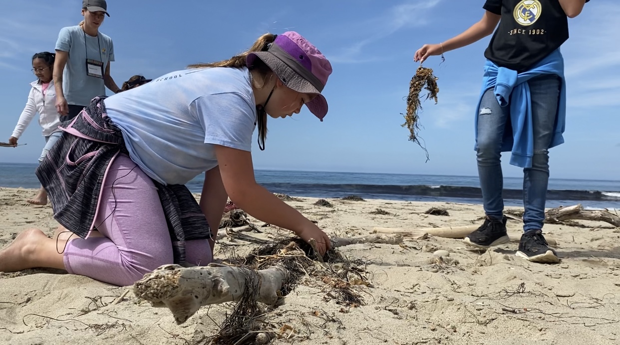 A young girl wearing a hat, sitting on a beach sifting through drift wood and sea plants in the sand.