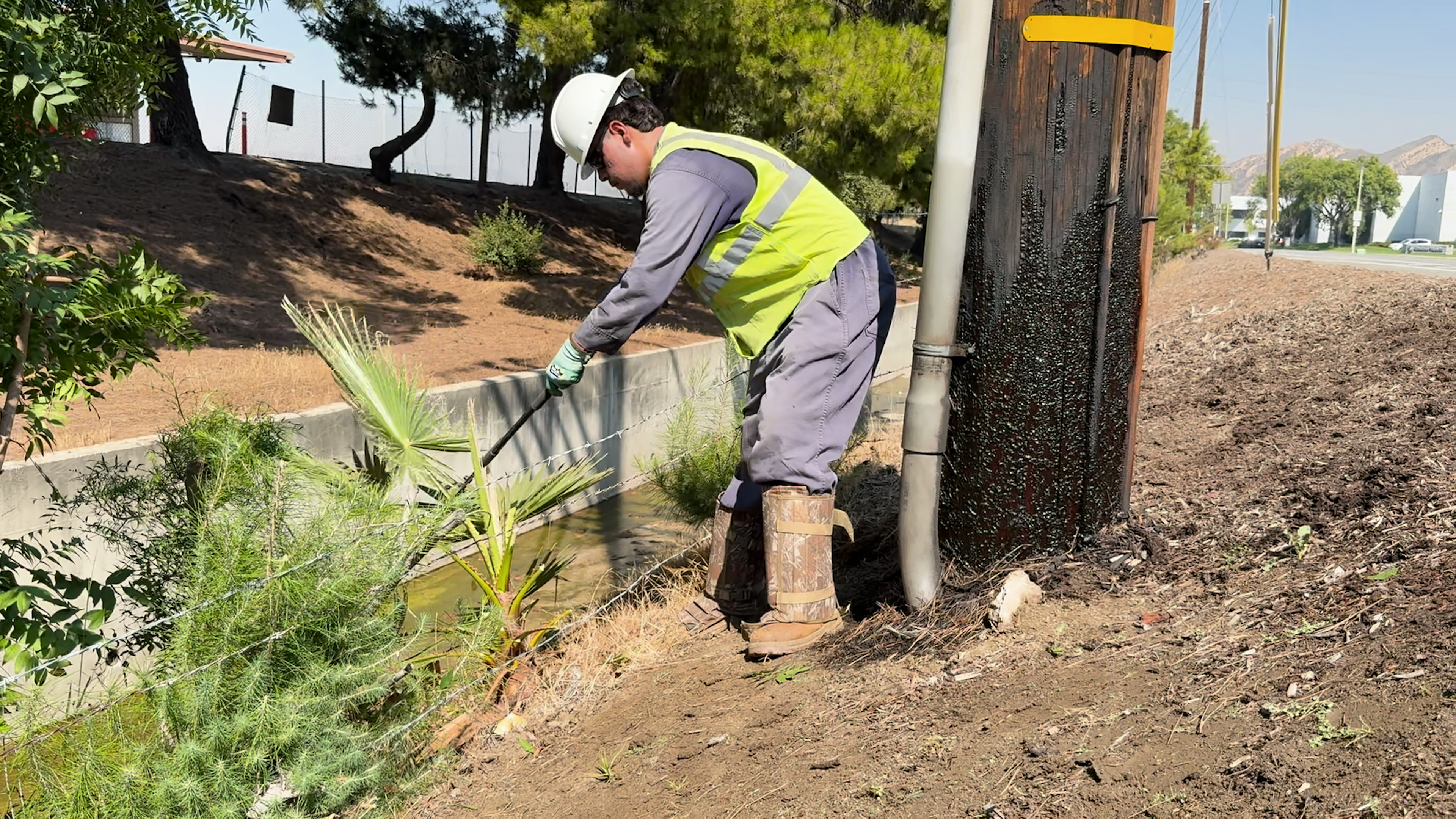A Vegetation Managment crew member cuts back over grown brush from around a power pole.