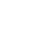 wildfire icon