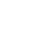 dollar icon