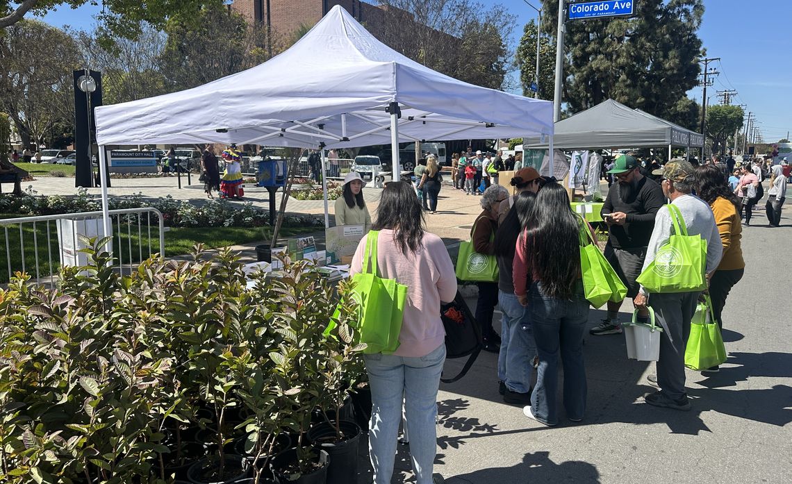 In partnership with TreePeople, Edison supported residential tree giveaway events in the communities of Paramount and El Monte