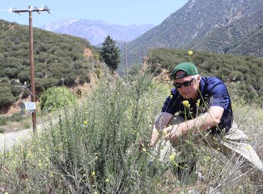 SCE Prepares for Early Fire Season