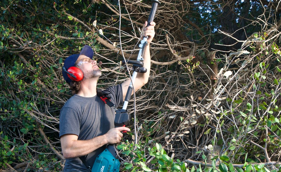 Chris Figureida’s commitment to brush clearance is helping keep his home and his neighborhood safe.