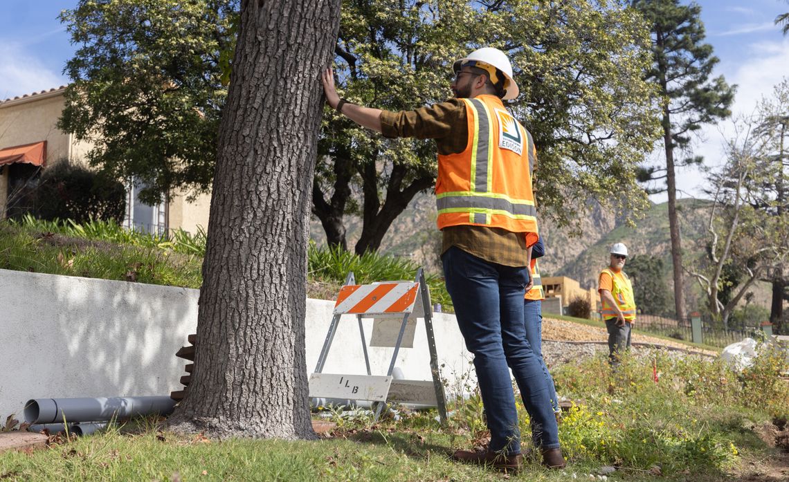 Careful planning and expert oversight help guide undergrounding work around trees in Altadena’s canopy‑covered neighborhoods.