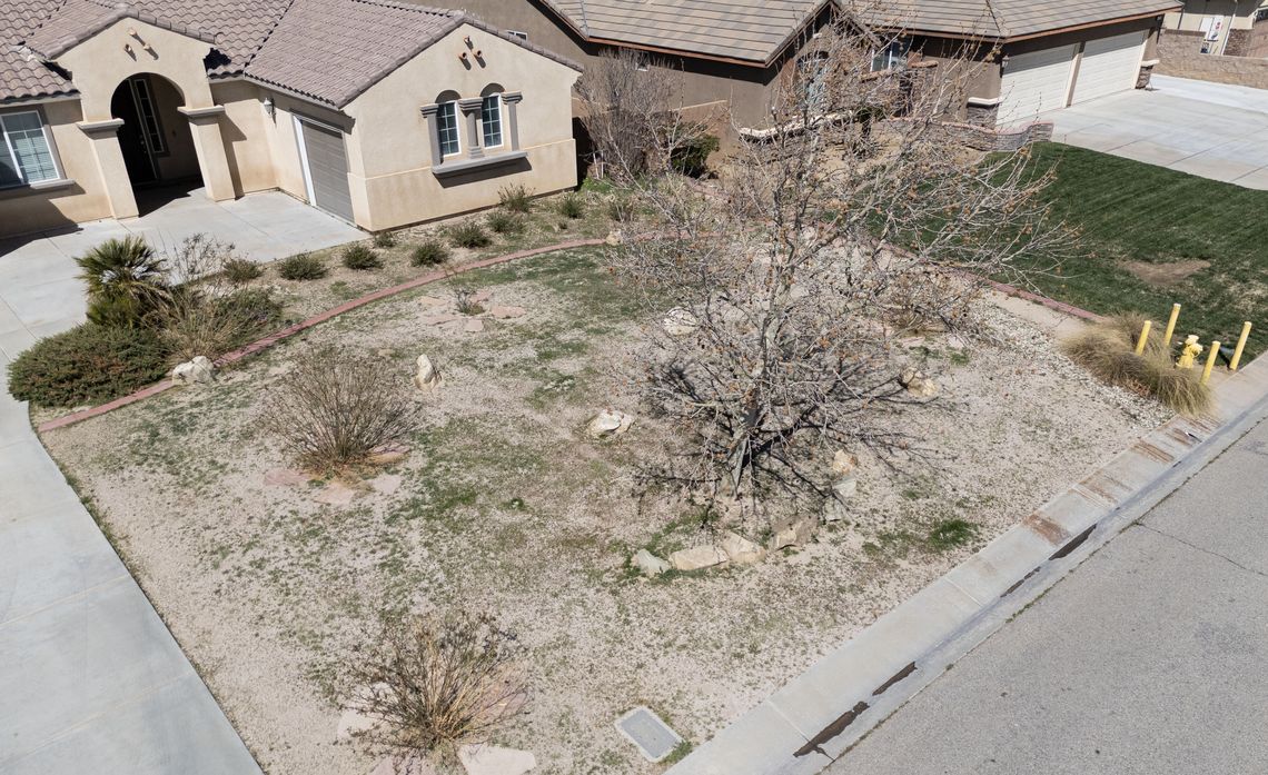 Before getting landscaped, Alex Venz’s yard lacked the structure and strategy needed to help reduce wildfire risk.