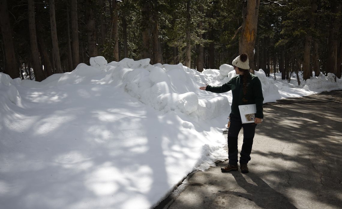 Person wearing a beanie points to a large snowbank beside a forested road.