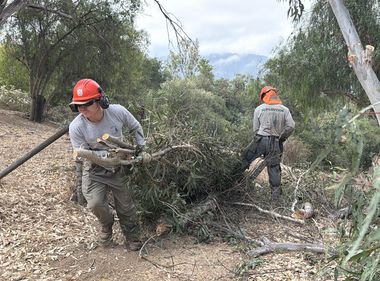 Turning Environmental Care Into Careers in Conservation