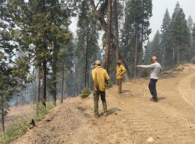 SCE’s Proactive Forest Management Helps Slow Wildfires
