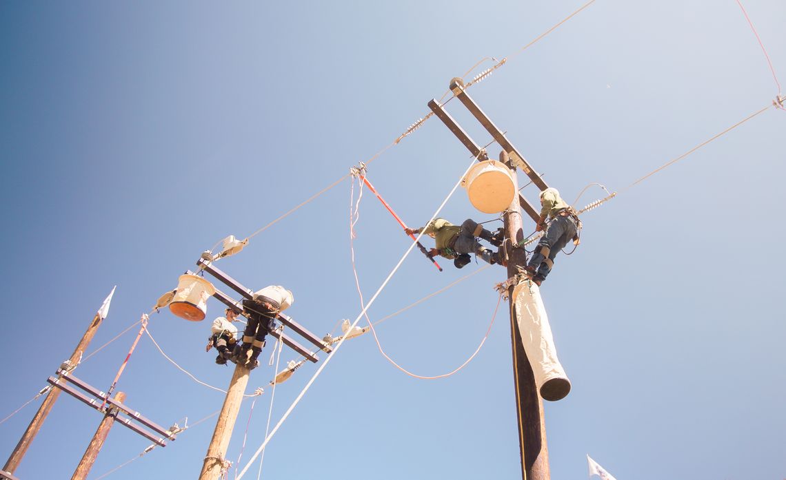 Utility workers in safety harnesses climb wooden power poles amid overhead electrical lines against a clear blue sky.