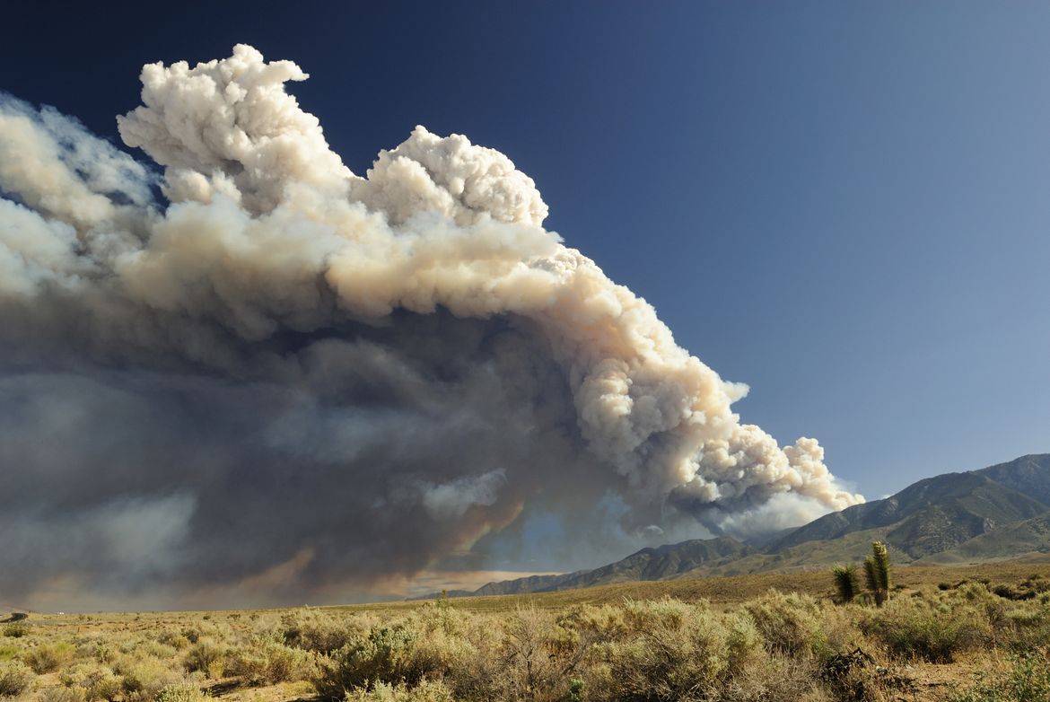 Incendios forestales en California: cómo obtener ayuda y preservar su salud en medio de una pandemia.