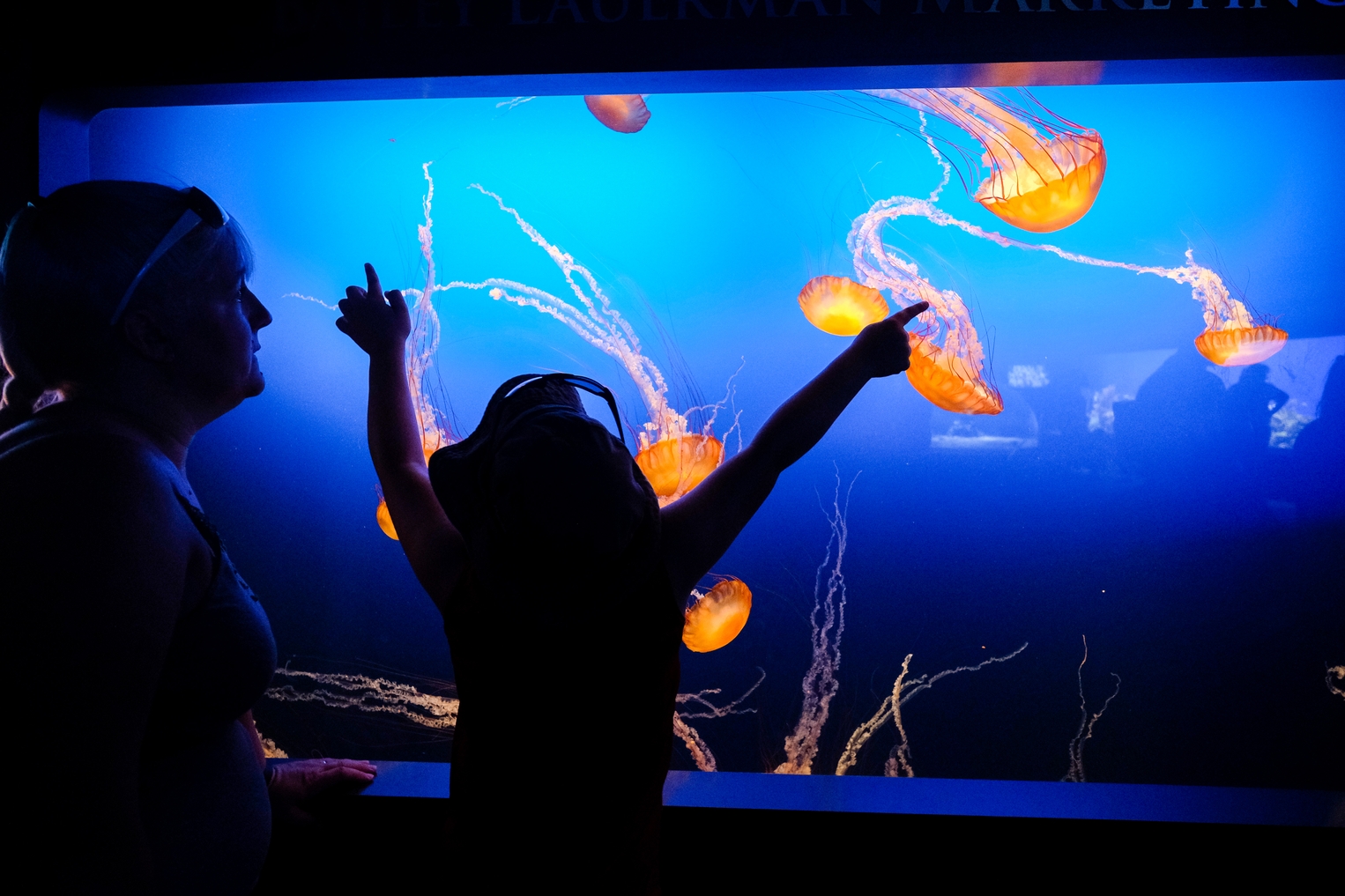 Omaha Zoo Aquarium