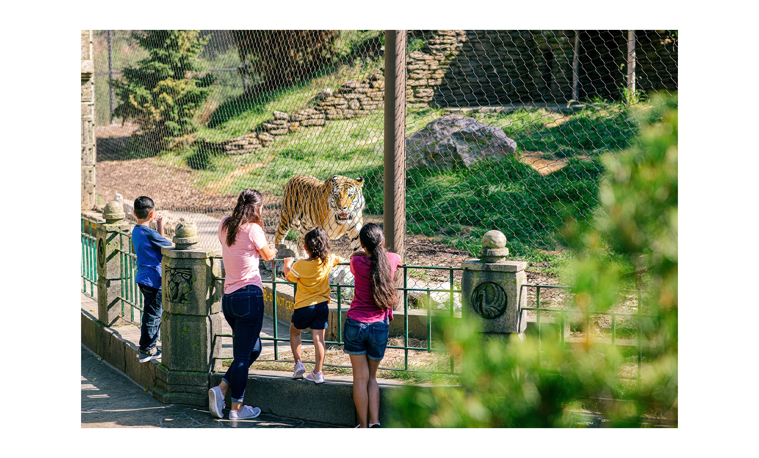 USA Today 10 Best Best Zoo Exhibit 2023 Visit Omaha