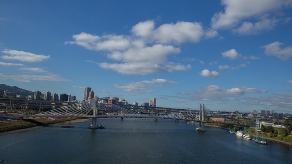 Tilikum Crossing Bridge