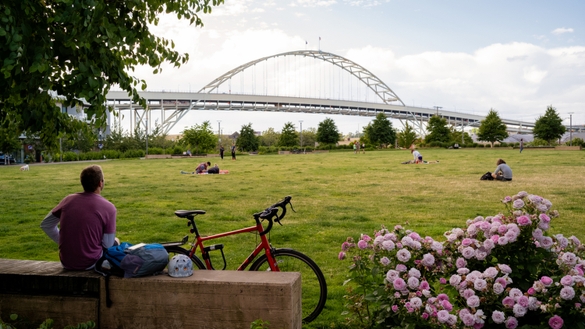 The Fields Park