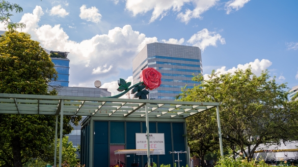 Rose at Salmon Street Springs Fountain