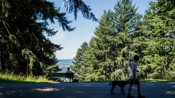 Walking Dog at Mt. Tabor