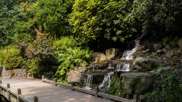Waterfall at Crystal Springs Rhododendron Garden