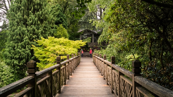 Crystal Springs Rhododendron Garden