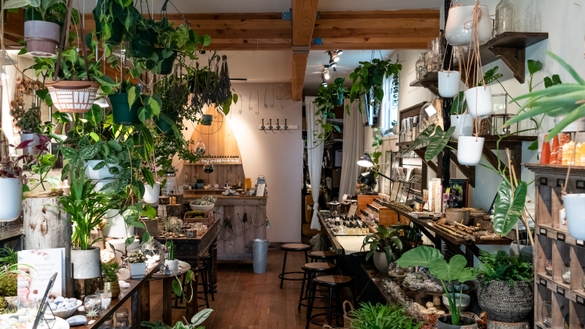 Artemisia on 28th & Burnside