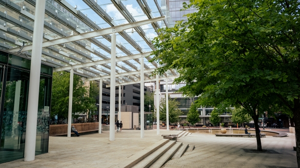 Director Park 