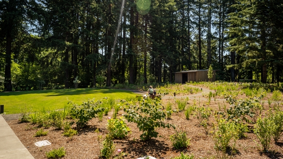 Leach Botanical Garden