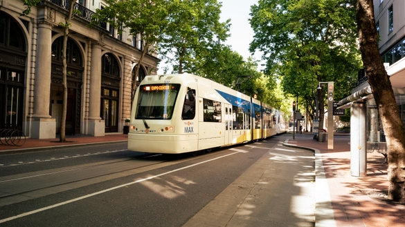 Trimet Max