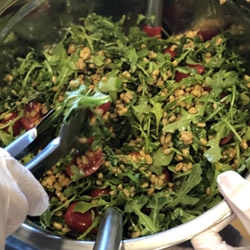 farro, cherry tomato, and arugula salad