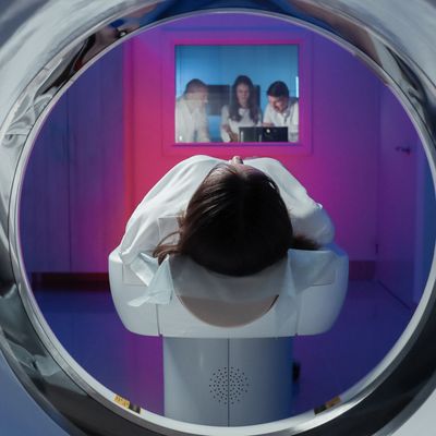 Memories Create ‘Fingerprints’ That Reveal How the Brain is Organized