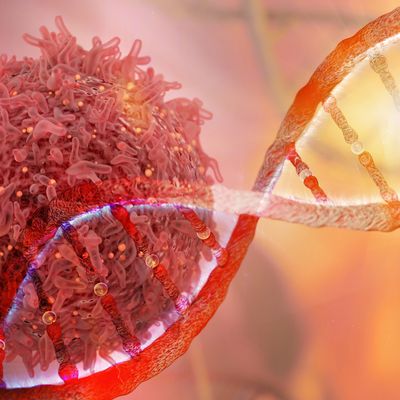 Honing in on Shared Network of Cancer Genes