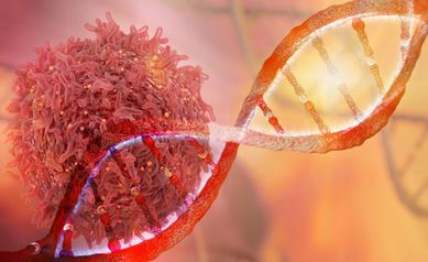 Honing in on Shared Network of Cancer Genes