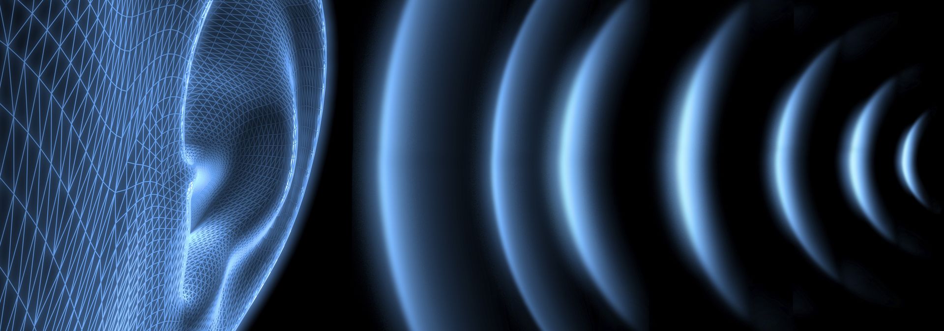 Silence and sound The perfect timing to preserve hearing URMC Newsroom