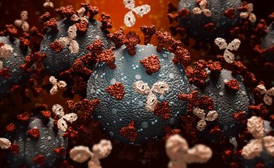 ‘Immune Distraction’ from Previous Colds Leads to Worse COVID Infections