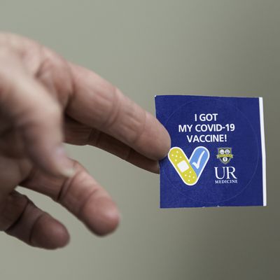 Study Examines Second COVID Booster to Strengthen Immunity, Prepare for Future Waves