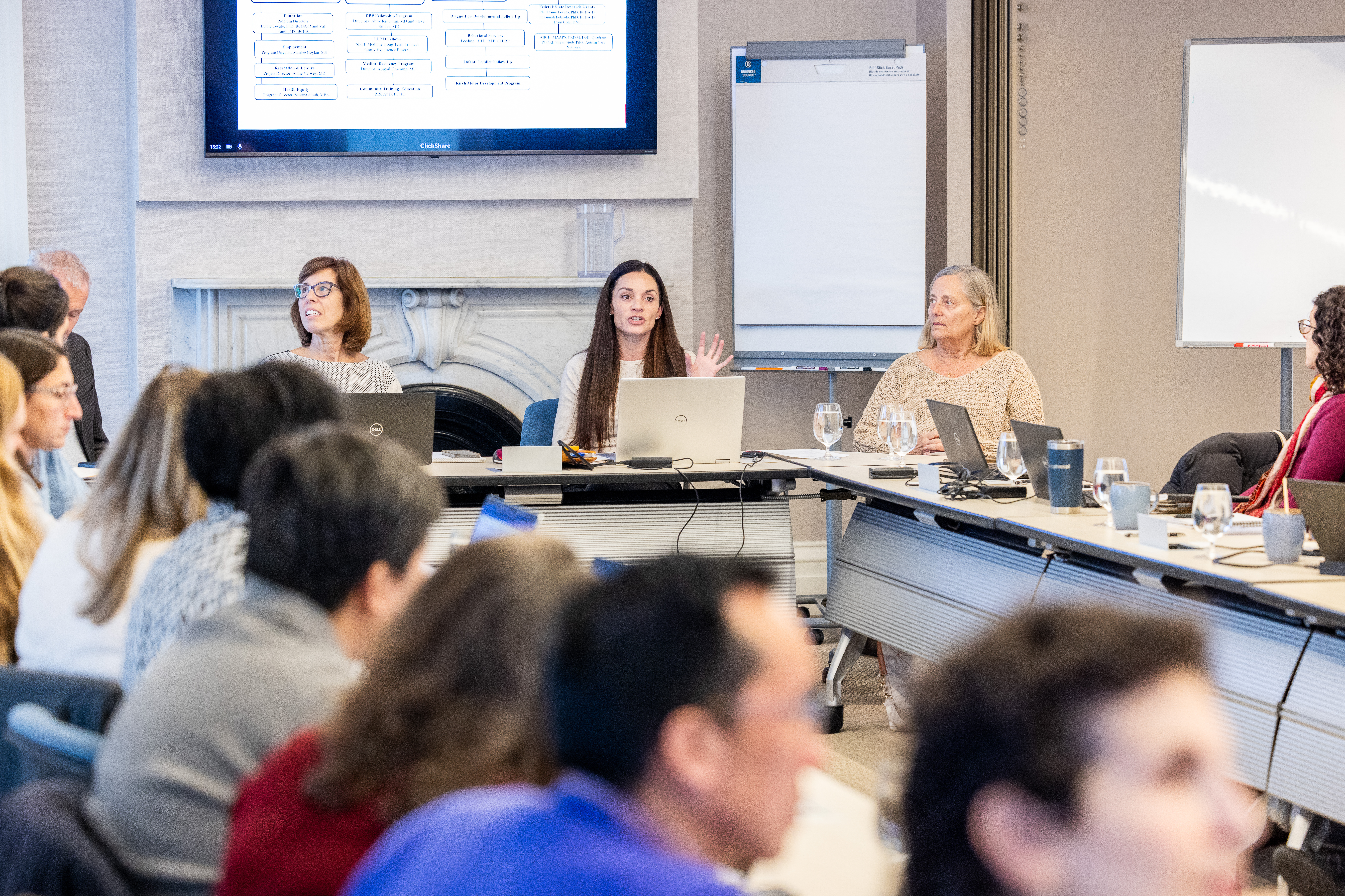 (Center) Suzannah Iadarola, PhD, director of UCEDD presents to group at recent retreat.