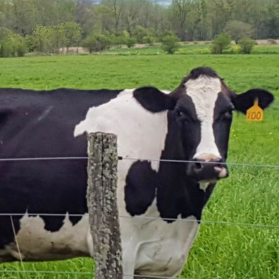 Cancer in Rural Upstate NY: Study Reveals Obstacles, Opportunities for Care