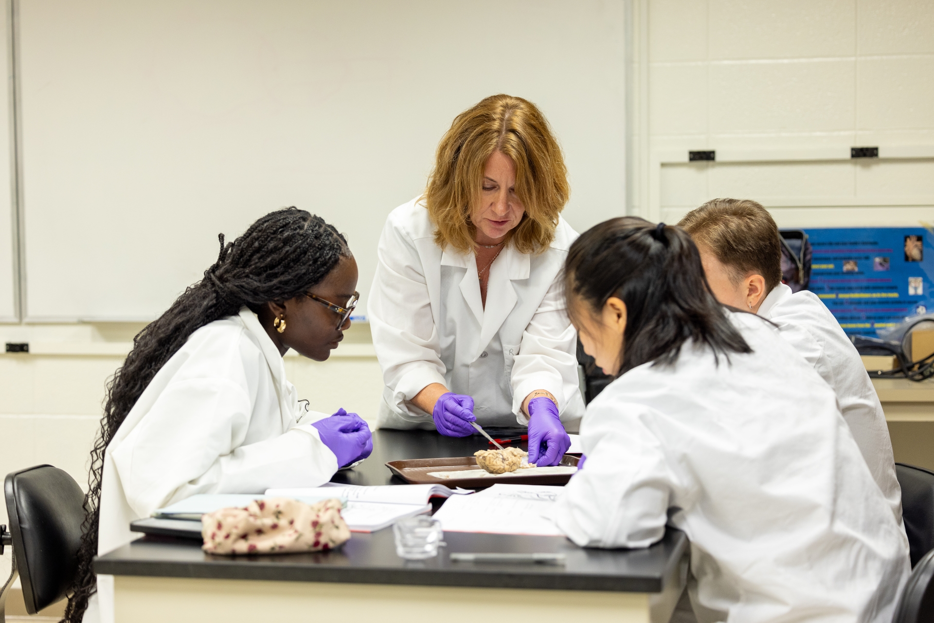 Renee Miller, BS (’97), PhD (’05), professor of Brain and Cognitive Sciences, teaching the Introductory Lab in Neurobiology to second year students who intend to major in Neuroscience.