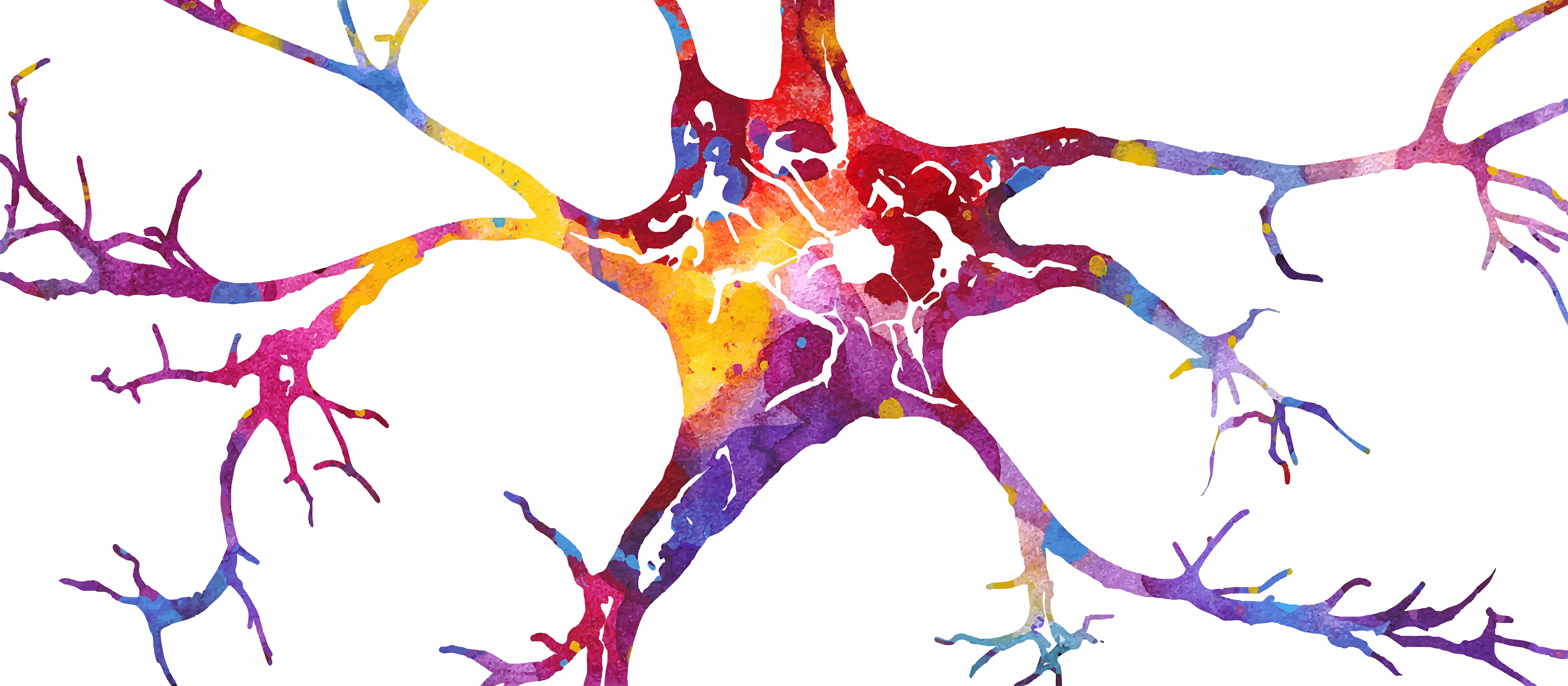 Watercolor of neuron in blue, orange, red, pink, and purple