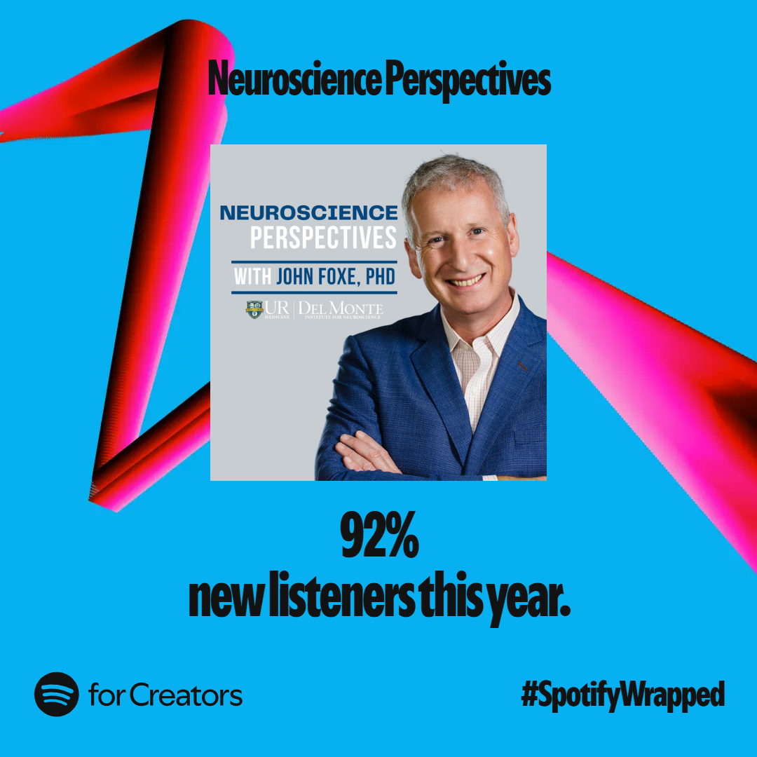 2024 spotify wrap