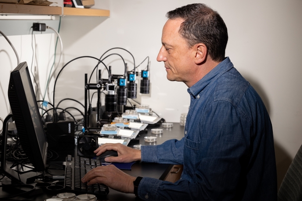 Portman working in lab at the University of Rochester Medical Center.
