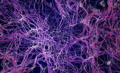 Nedergaard Recognized with Nakasone Award for Pioneering Research 