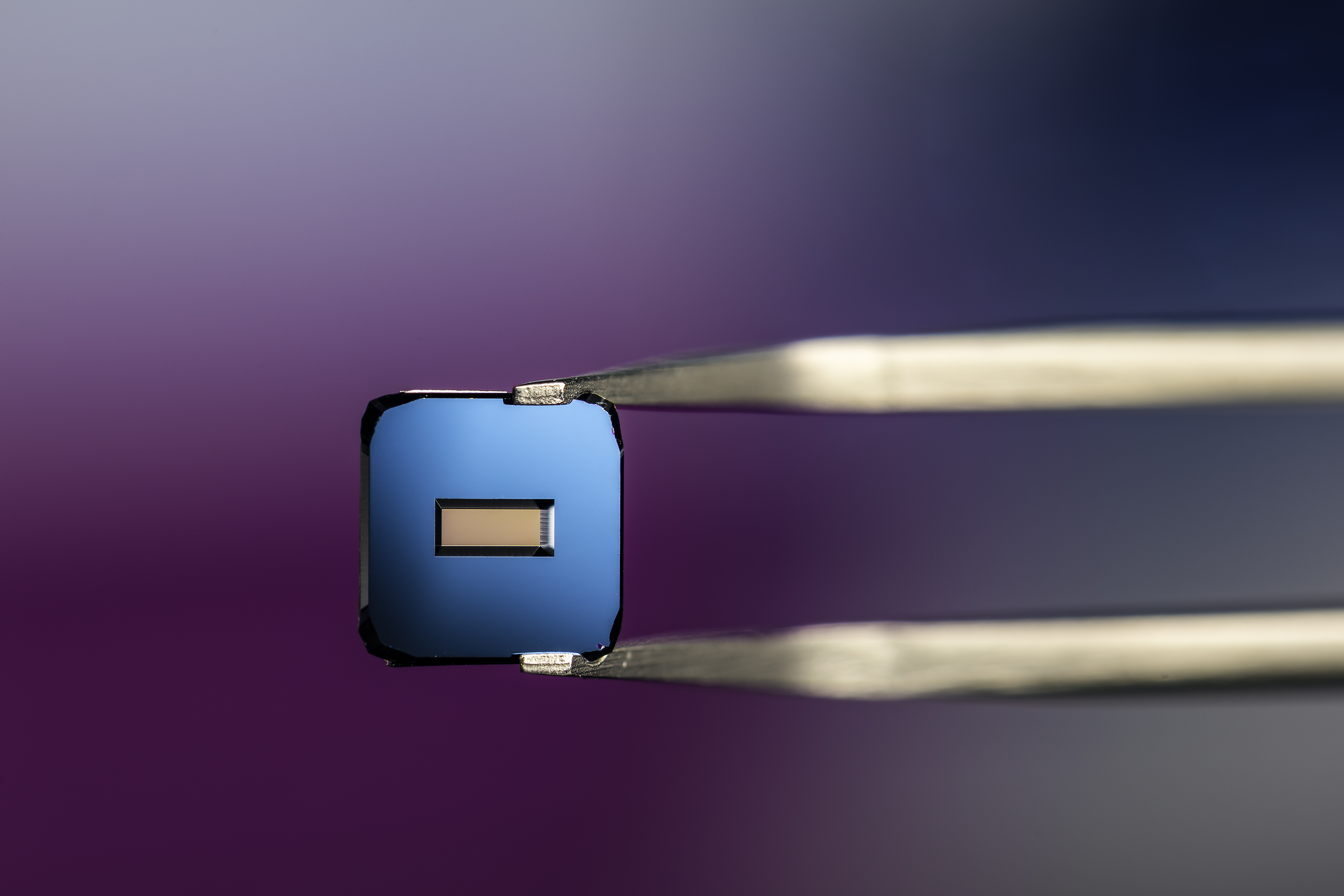 2023-11-15_McGrath_lab_0157