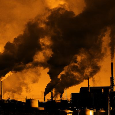 On World Parkinson’s Day, a New Theory Emerges on the Disease’s Origins and Spread