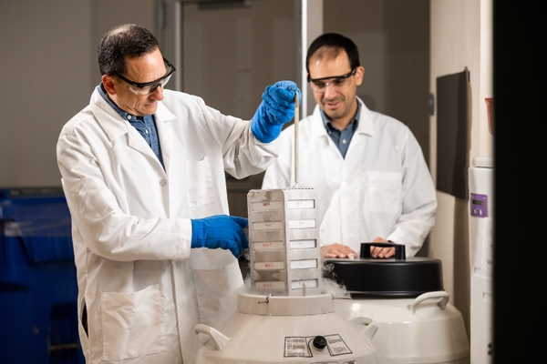 Doug Portman, PhD, (left) and Carlos Diaz-Balzac, MD, PhD, extract frozen research samples.