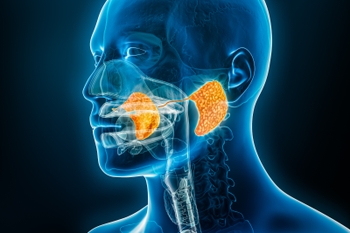 digital illustration of salivary gland