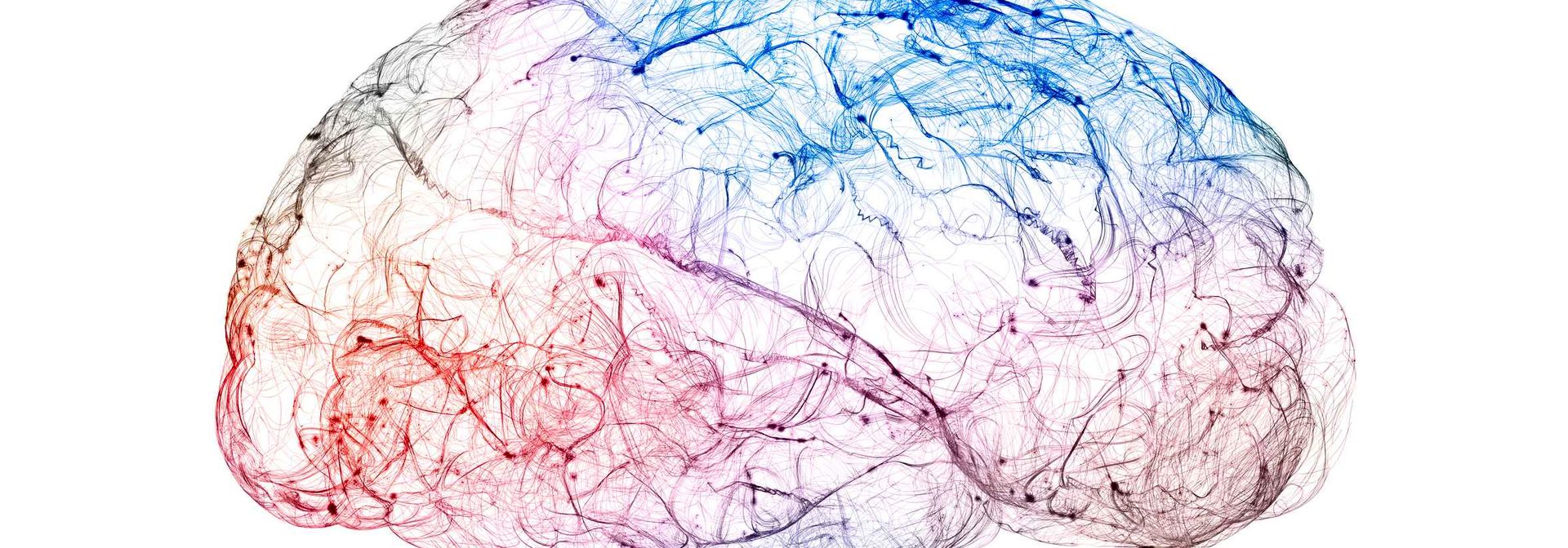 ビオチンはマンガンによる損傷から脳を守る可能性があることが研究で判明