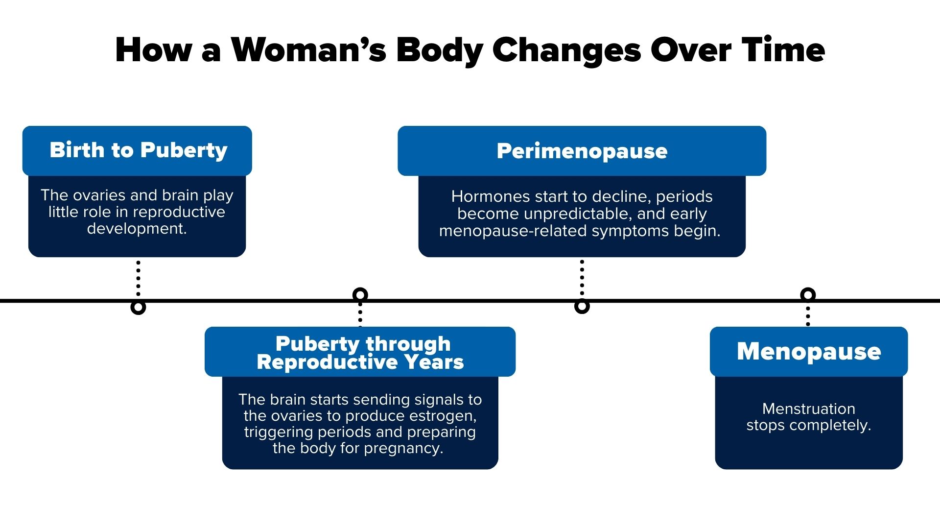 How a Woman’s Body Changes Over Time 1.     Birth to Puberty: The ovaries and brain play little role in reproductive development.  2.     Puberty Through the Reproductive Years: The brain begins sending signals to the ovaries to produce estrogen—especially estradiol—triggering periods and preparing the body for pregnancy.   3.     Perimenopause: Hormones start to decline, periods become unpredictable, and early menopause-related symptoms begin.   Menopause: Menstruation stops completely 