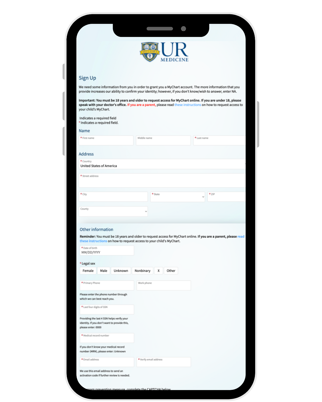 A screenshot of Proxy Access Request form