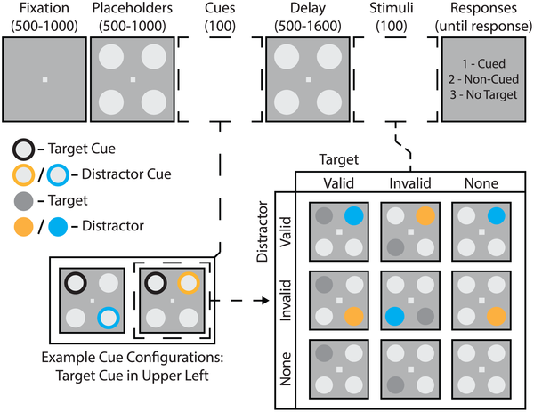 Fig. 1 from PLOS Biology paper showing experimental task